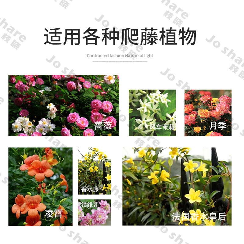 园艺藤本爬藤架月季花架室外户外墙攀爬架子庭院花园装饰篱笆栏栅