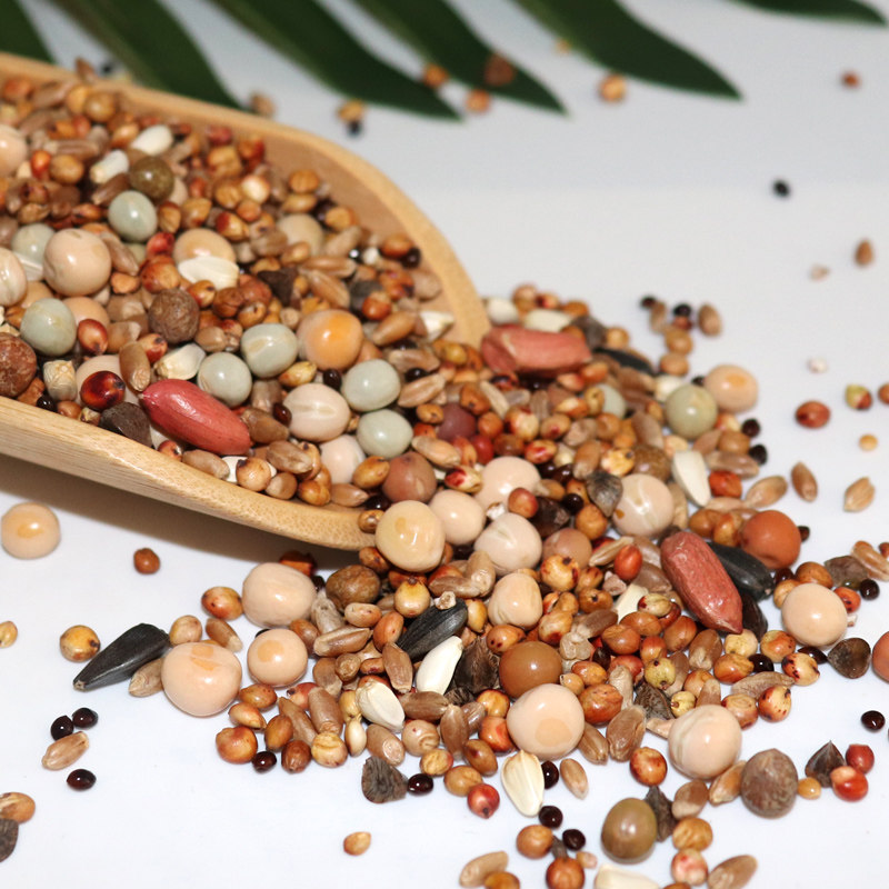 50斤鸽子粮无玉米鸽粮食营养饲料鸟食信鸽观赏鸽肉鸽幼鸽成鸽粮,宠物/宠物食品及用品,鸟食,淘宝优惠券,粉丝福利购,淘宝优惠卷