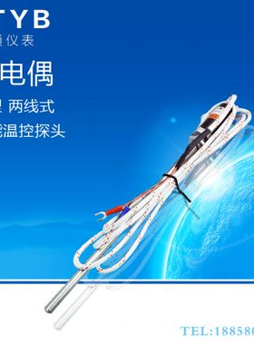 电热偶  仪表线上N分度10号TE  C四种0WR探头KT式 M通为P U2长50