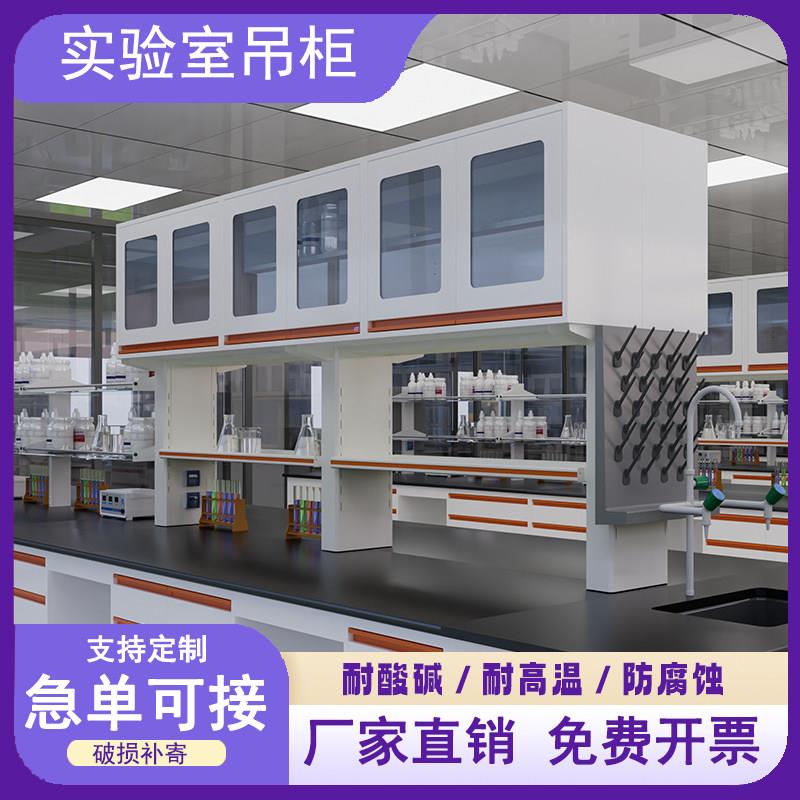 全钢实验台壁柜边台立柜工作台桌子化验室试剂架钢木试验台带吊柜图片