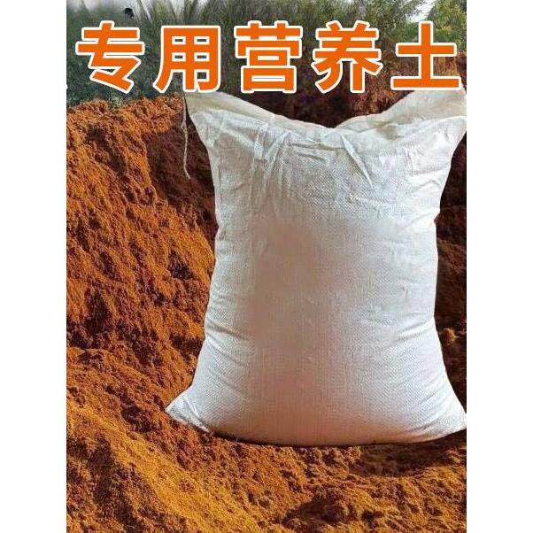 竹笋虫养殖椰糠土竹虫养殖材料海南椰糠养殖土竹虫养殖专用营养土