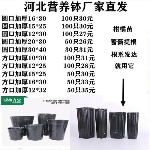 营养钵育苗袋细高型营养杯一次性塑料盆树苗提根营养袋育苗钵黑色