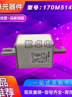 170M5158 170M5159 170M5160 170M5161 170M5162 170M5163熔断器