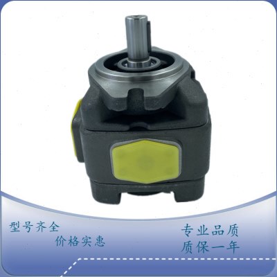 55V量/P2020-30/35P70压力10-40-1-8叶片泵V特油泵/克变海/V2-12V