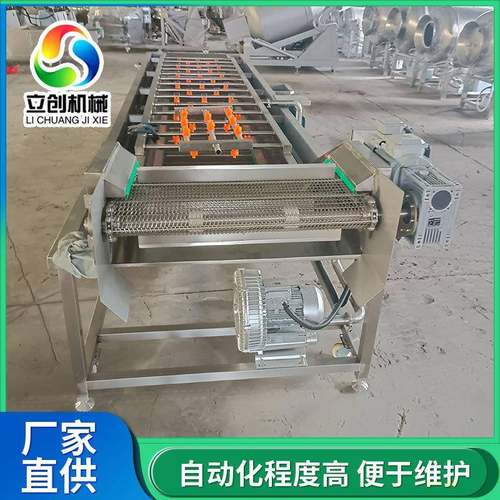全自动大枣清洗风干机商用果蔬沥水风干设备翻转冲浪式清洗机