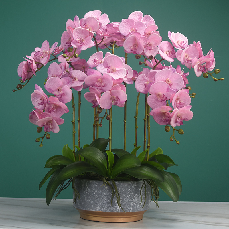 蝴蝶兰仿真花高档手感兰花假花盆栽玄关客厅餐桌前台装饰花艺摆件