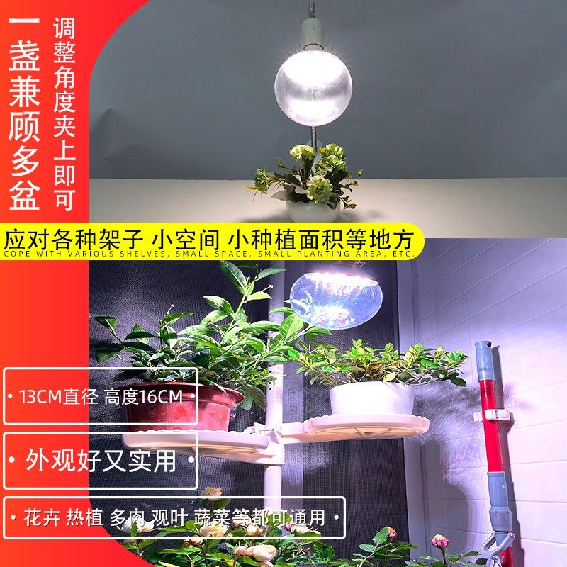 携阳花卉兰花多肉盆栽盆景植物补光灯全光谱灯泡家用室内生长灯