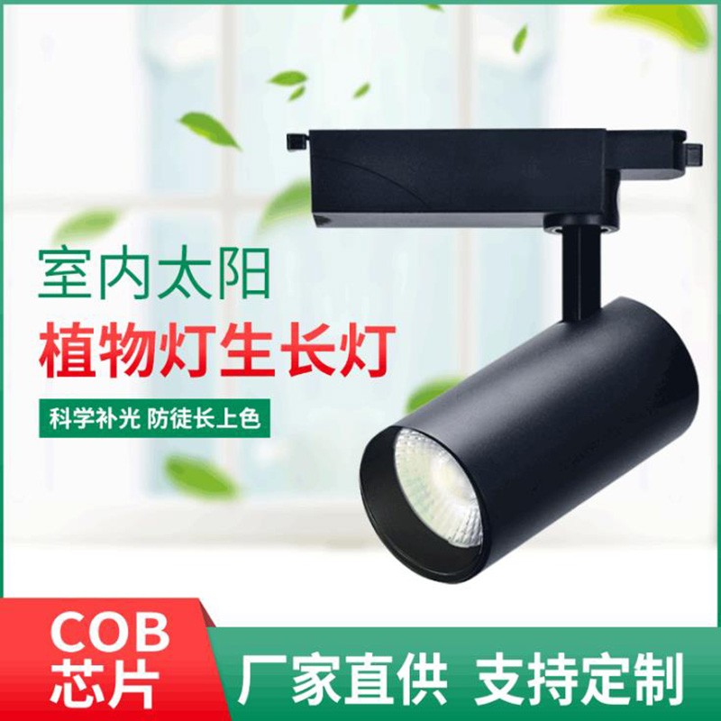 室内全光谱led多肉植物生长灯30w绿植物墙苗圃植物补光led轨道灯