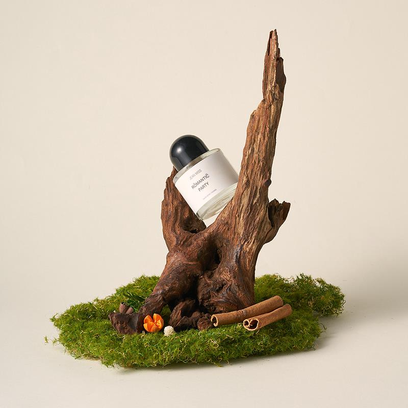 天然沉木造景 枯木拍照道具树枝木头装饰ins静物摄影陈列摆件干