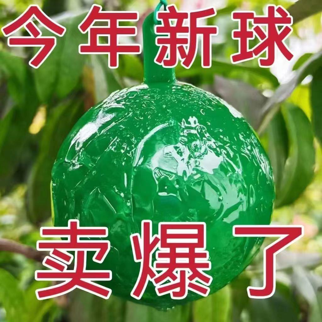 果园诱蝇球柑橘大小实蝇瓜果树针蜂贴果虫诱捕器果蝇粘虫板粘蝇球