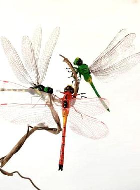 彷真蜻蜓3D立体昆虫磁性创意冰箱贴昆虫车内装饰室内摆件盆景造景