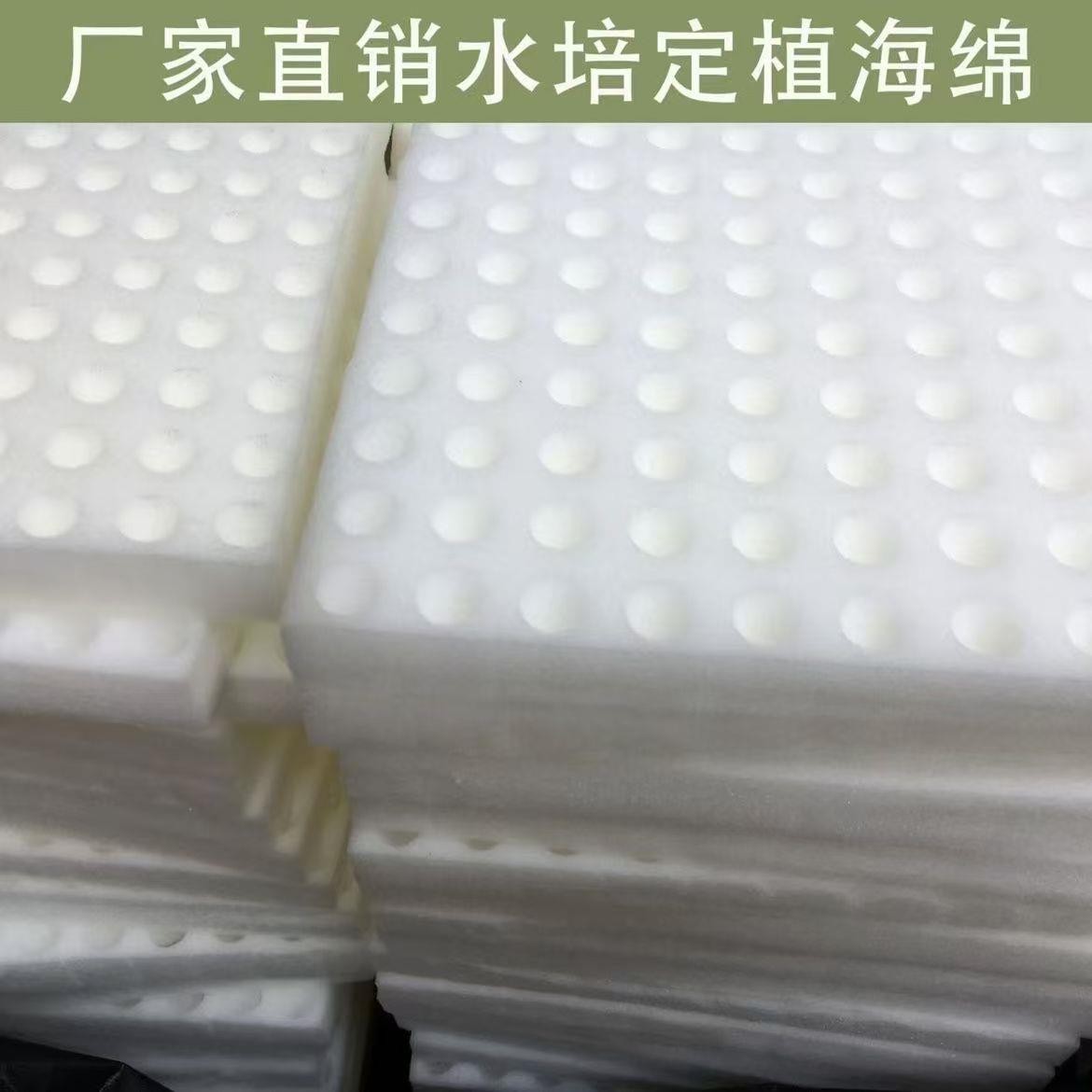 无土栽培种植海绵方块水培固定植棉阳台种植室内大棚育苗种植垫