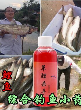 钓鱼饵料添加剂 草鲤杀手鲤鱼小药 草鱼鲩廖师傅黑坑水库老打窝料