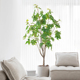 侘寂风仿真绿植室内蓖麻树家居造景大型客厅落地装 饰