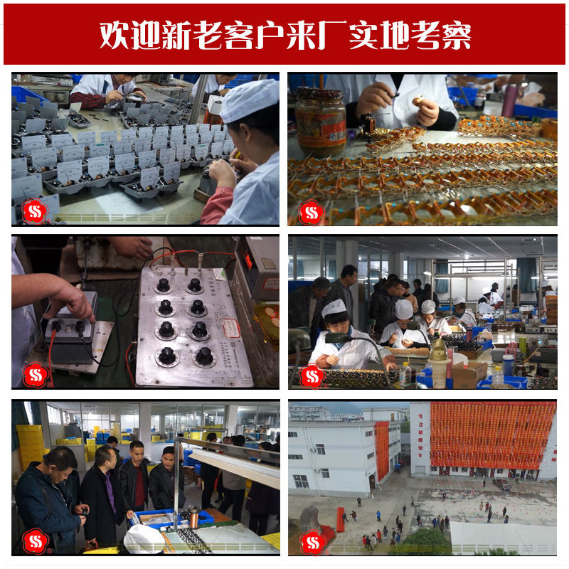 上海第六电表厂 Z型高阻计超高电阻测试仪微电流兆欧表 电极箱
