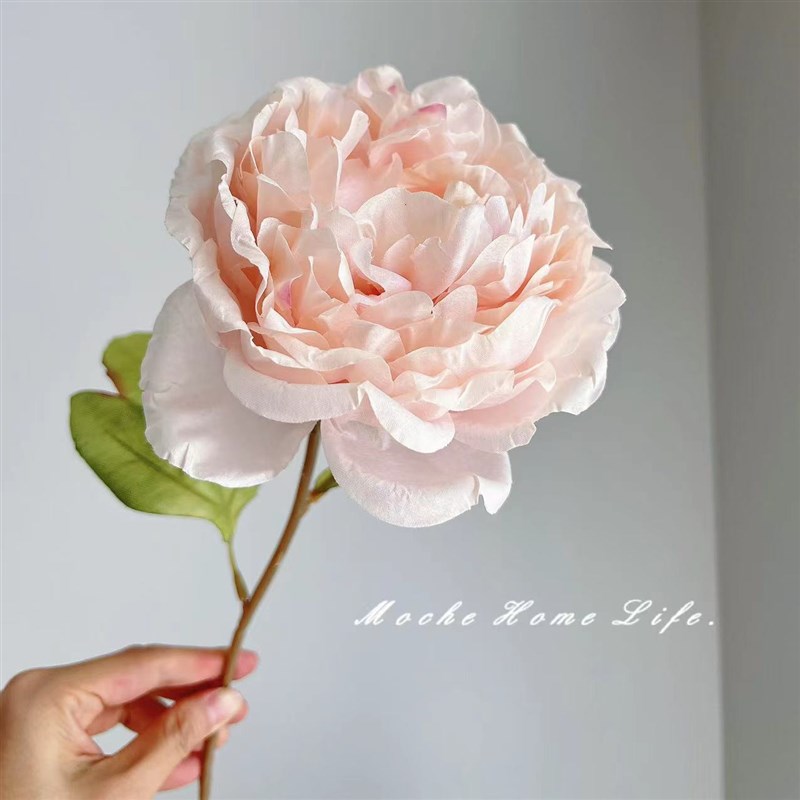茉澈 芍药仿真花高档装饰花卉摆件绢布假花粉色牡丹客厅餐桌玄关