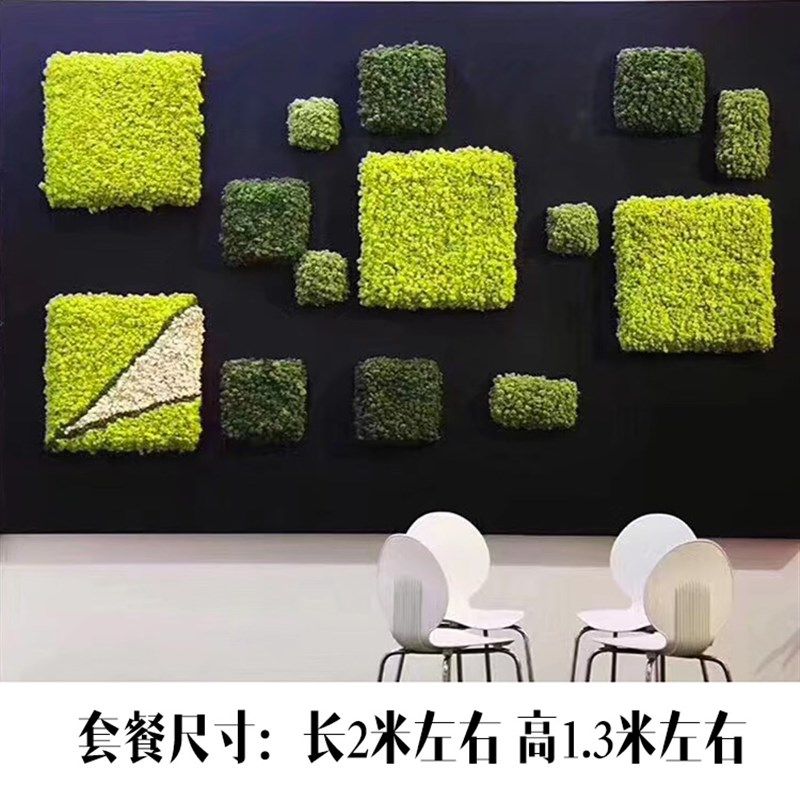 壁挂苔藓干墙面装饰走廊客厅背景墙立体永生家装壁饰,家居饰品,壁饰,淘宝优惠券,粉丝福利购,淘宝优惠卷