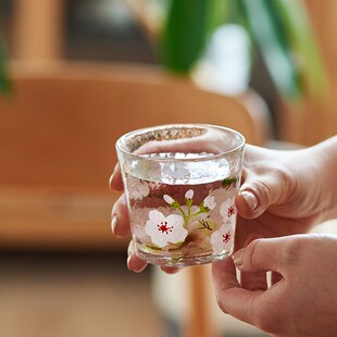 肆月日式锤纹玻璃杯白酒杯小众高颜值喝酒杯子女生家用创意烧酒杯