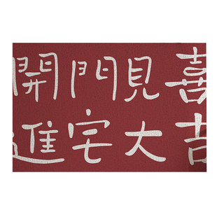 高端简约高级入户门地垫进户门口pvc丝圈踩脚垫进门防滑地垫子