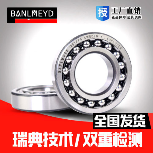 瑞典BMD进口调心球轴承 高速 1200 1201 1202 1203 1204ETN9 K P5
