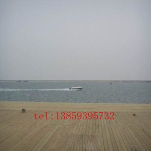 碳化木 户外防腐木地板/木材板材/室外实木地板/ 木方 火烧木