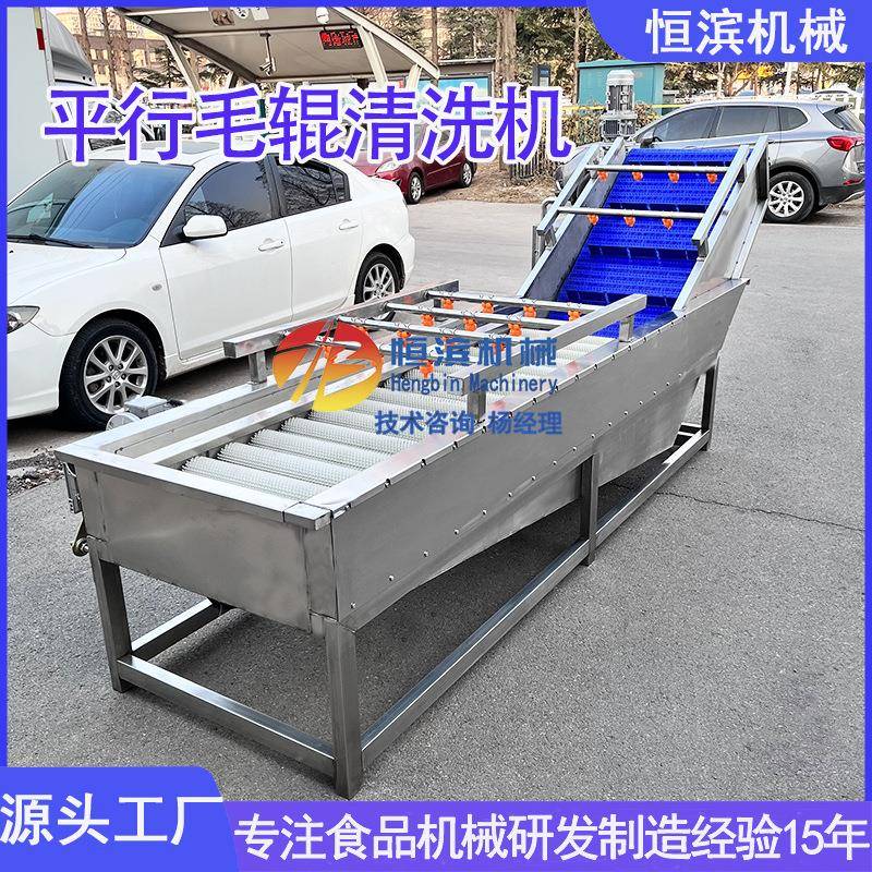 苹果梨全自动清洗设备桃子平行毛辊洗果机桔子橙子气泡清洗机