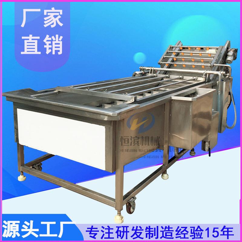 苹果葡萄杨梅气泡清洗机蓝莓大枣果蔬大型清洗机生产厂家