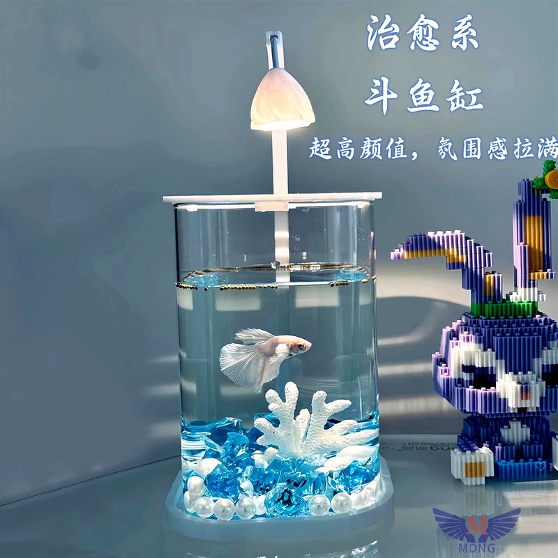 超白玻璃斗鱼缸办公室客厅小型网红创意造景桌面生态高级迷你带灯