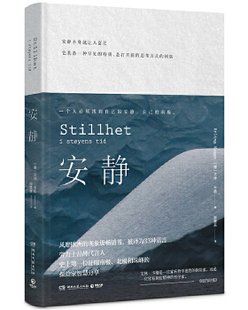 库存绝版书安静 9787540485191 [挪威]艾林·卡格 湖南文艺出版社
