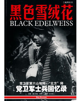 库存绝版书黑色雪绒花【正版 塑封 发货快】 9787900747501 约翰·福斯 云南科技出版社