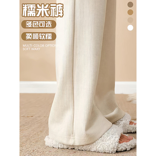 燕麦色雪尼尔窄版阔腿裤女梨形身材糯米裤小个子垂感加绒直筒裤