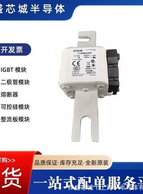 快速熔断器170M1564 170M1559 现货速发规格齐全包邮