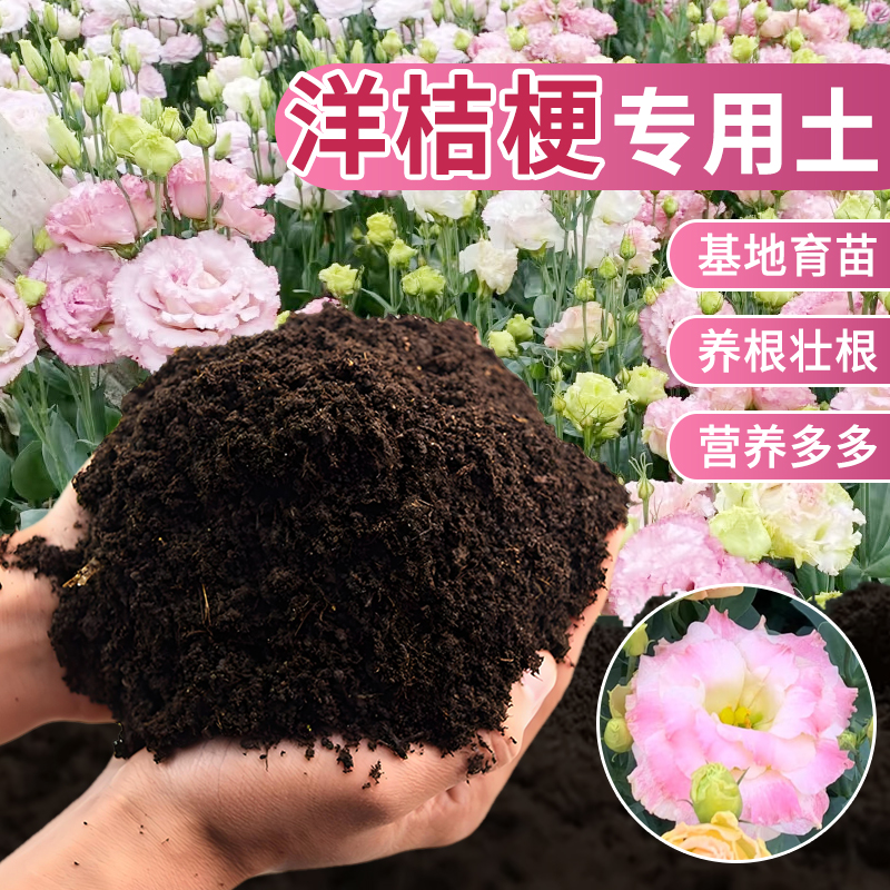 洋桔梗专用营养土 云南直发4.5斤基地育苗土养花花卉绿植有机土