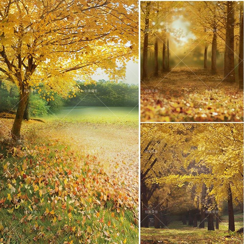 创美秋天室外油画风景拍照背景布影楼儿童摄影写真森林秋天背景纸