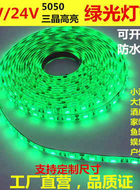 LED灯带12V绿色光带贴片高亮防水大红24V绿光灯条车用家用吊顶5米