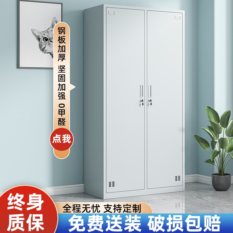 包邮 2门更衣柜办公宿舍楼二门铁皮衣柜员工带锁储物柜寄存箱子