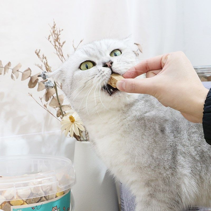 橘尾宠物冻干鸡肉桶鸡肉粒鸭肉粒全家桶冻干零食狗狗猫咪训练奖励,宠物/宠物食品及用品,猫冻干零食,淘宝优惠券,粉丝福利购,淘宝优惠卷