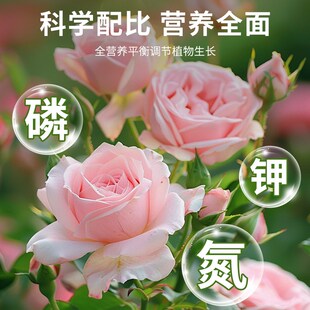 贝可施精纯爆花粉花肥养花专用肥料兰花家用盆栽通用茉莉花月季花