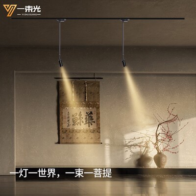 一束光聚光射灯小角度摆头长杆轨道明装客厅茶室艺术饰品氛围餐饮