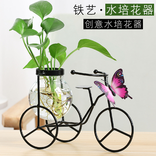 水培花瓶玻璃透明创意绿萝插花客厅摆件水养花插铁艺桌面装饰器皿