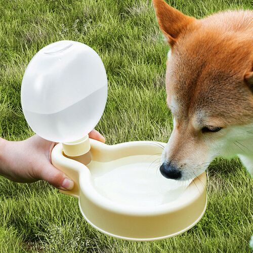 狗狗外出水杯便携喝水器宠物折叠水壶大容量随行杯小狗出门喂水器