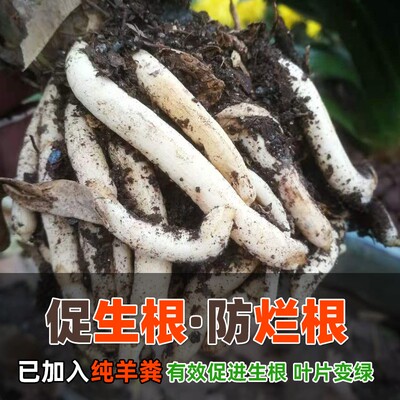 土中土蝴蝶兰土专用土肥料兰花种植料透气养花家用花卉盆栽营养土