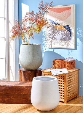 简约白色客厅圆形水泥花盆酒杯镁泥花盆特大号绿植盆栽大口径泥盆