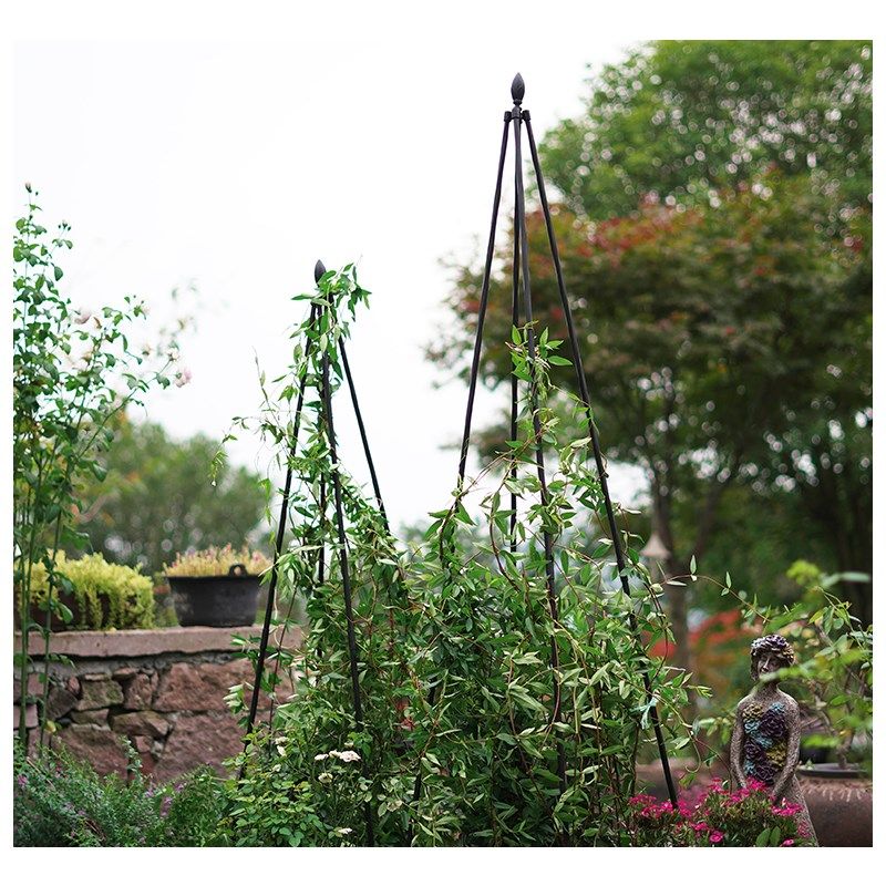 园艺兰花四角塔型花架铁线莲户外攀爬架植物花盆玫瑰室外爬藤支架,鲜花速递/花卉仿真/绿植园艺,花架,淘宝优惠券,粉丝福利购,淘宝优惠卷