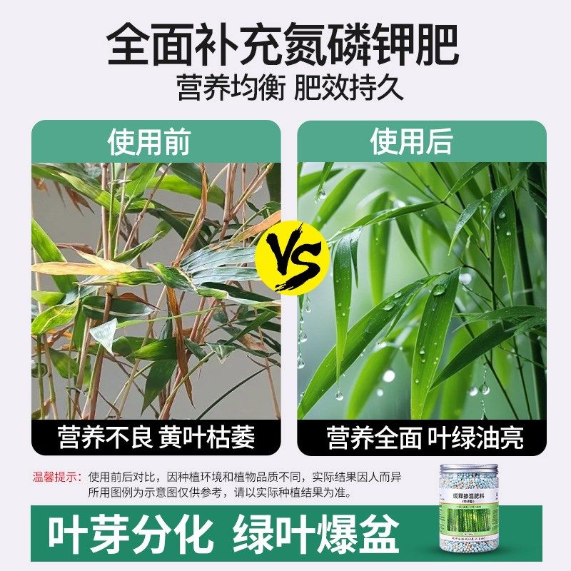 竹子专用肥料家用室内盆栽防黄叶干尖枯叶缓释肥毛竹文竹类颗粒肥,鲜花速递/花卉仿真/绿植园艺,家庭园艺肥料,淘宝优惠券,粉丝福利购,淘宝优惠卷