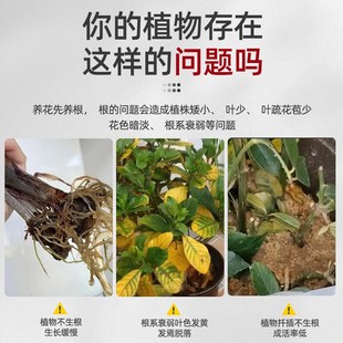 快速生根粉植物通用果树木移栽水培扦插专用花卉生根剂发根粉肥