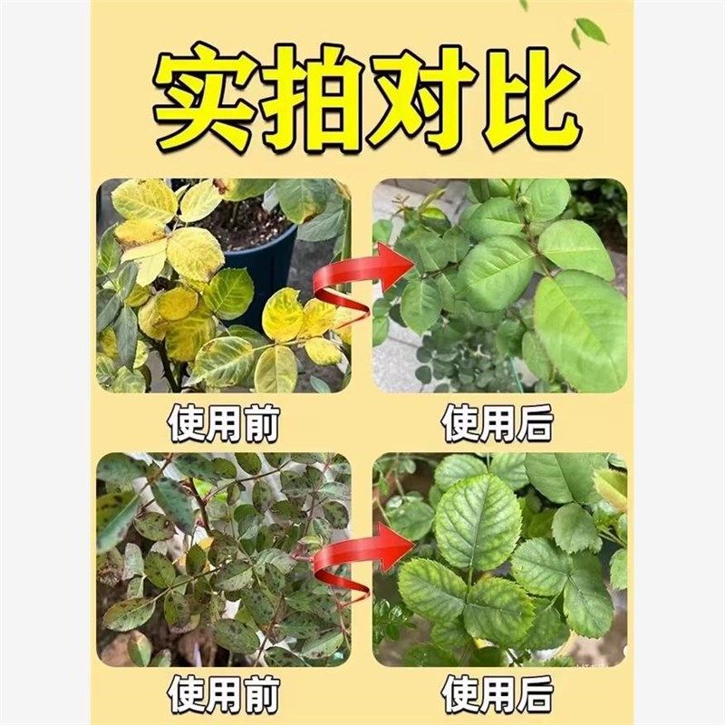 月季黑斑病专用多菌剂蔷薇玫瑰黑杆不开花黄叶白粉病害常用营养液,鲜花速递/花卉仿真/绿植园艺,家庭园艺肥料,淘宝优惠券,粉丝福利购,淘宝优惠卷