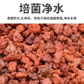 火山石鱼缸专用底砂大块颗粒免洗滤材乌龟天然造景底沙精品火山岩
