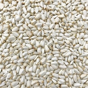 红花子/红花籽/白瓜子 金刚鹦鹉鸟食鸟粮 仓鼠粮食鸽粮 5斤包邮