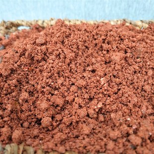【沙质红土】植土偏酸性红泥土黄土福建龙岩木本植物生根土壤砂性